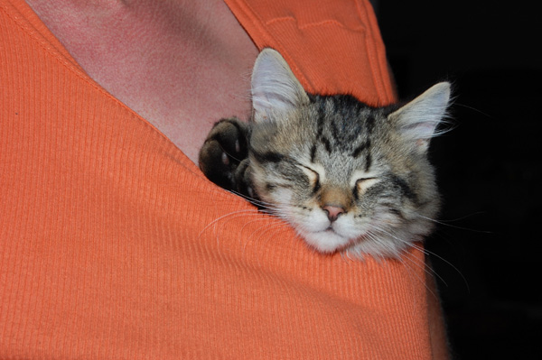 nur bei Mami war`s schöner.jpg